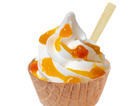 Fruit Topping Tropical Fruit