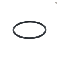 CARPIGIANI rubber for pump