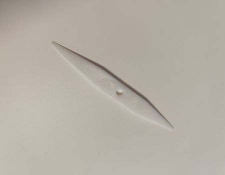 Tool for prying out gaskets