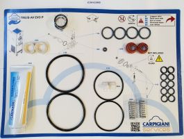 CARPIGIANI gasket set for soft serve ice cream TRBP-EVO 740