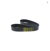 CARPIGIANI belt