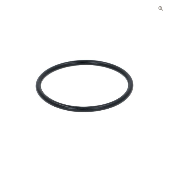 CARPIGIANI rubber for pump