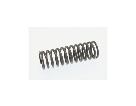 CARPIGIANI spring for pump