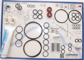 CARPIGIANI gasket set for soft serve ice cream XVL 742