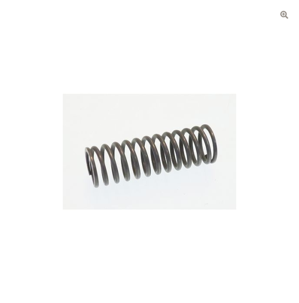 CARPIGIANI spring for pump